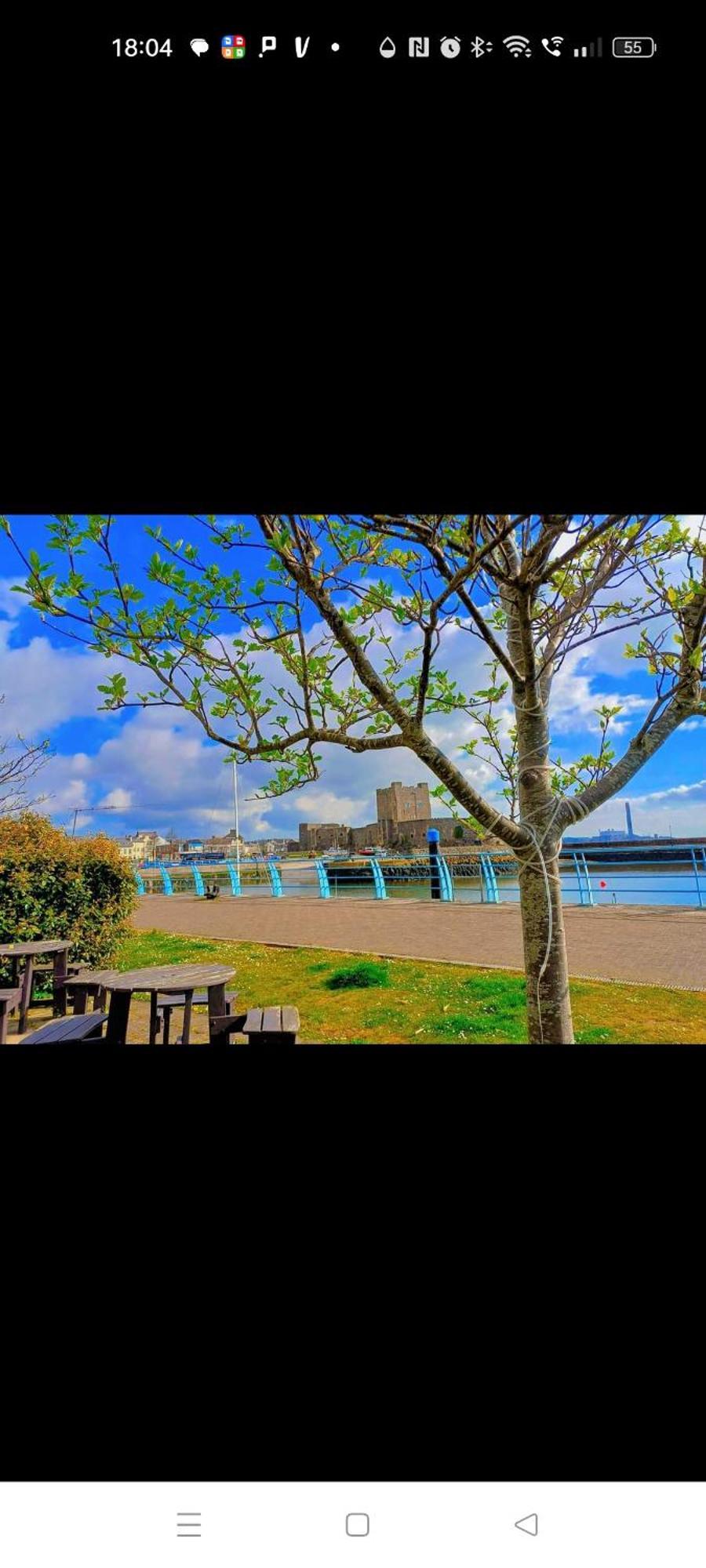 Mill Cottage Carrickfergus Bagian luar foto